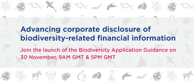 Biodiversity impacts your business: a reporting guide for companies | Climate Disclosure